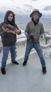 tautog and blues