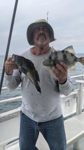 sea bass and triggerfish