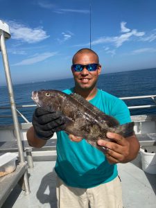 tautog