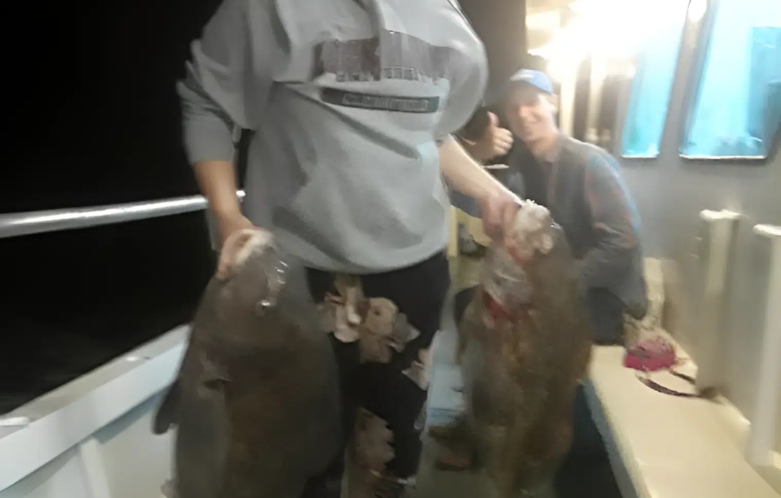 drumfish-gallery-tour-002