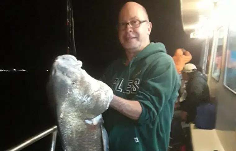 drumfish-gallery-tour-005