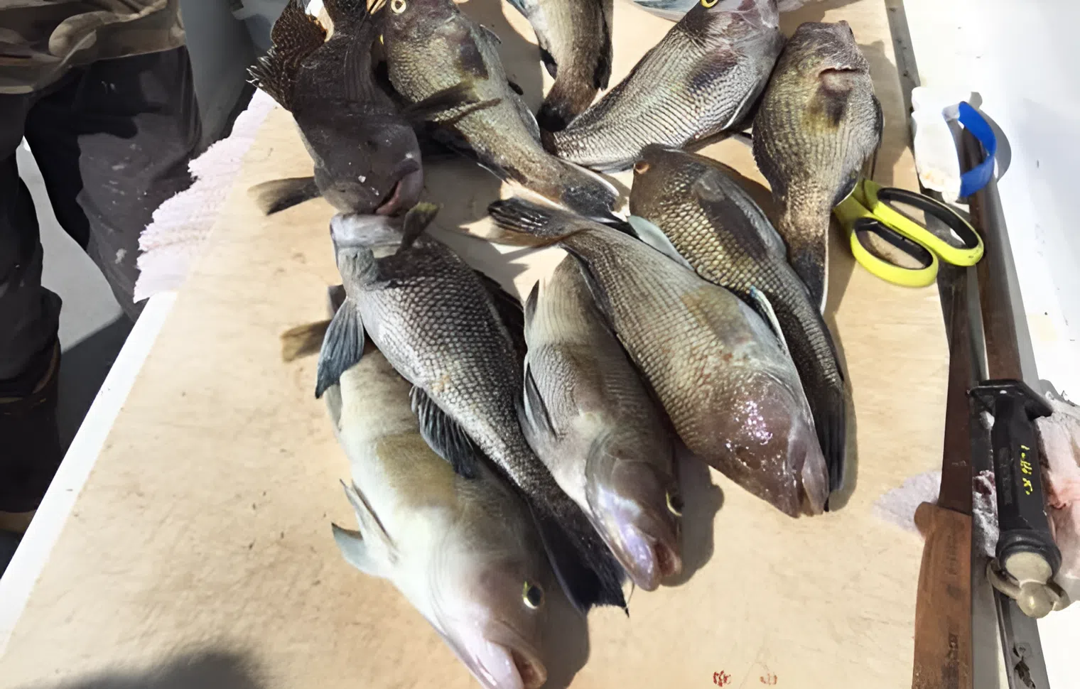 early-bird-gallery-tour-002