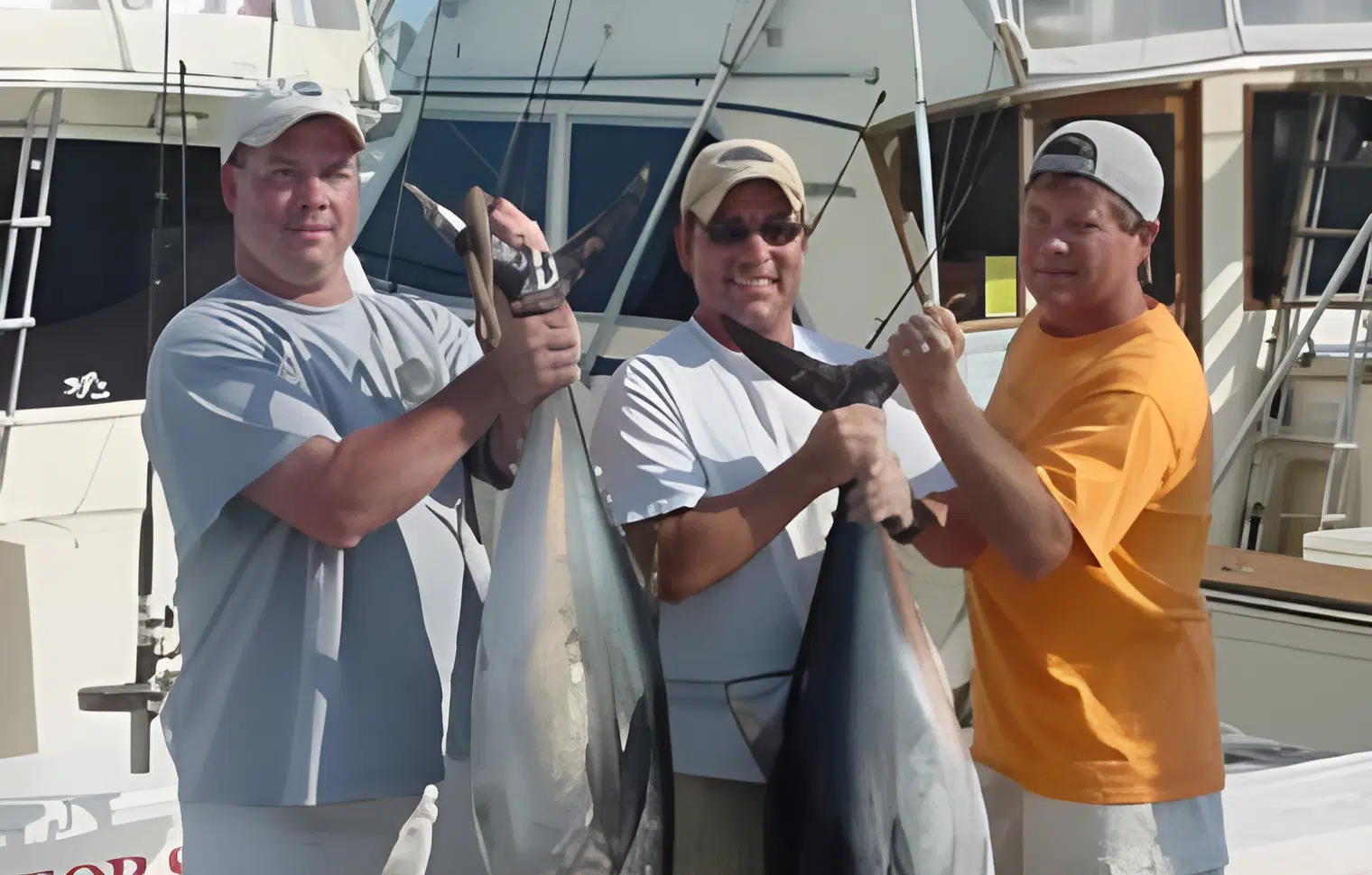 offshore-gallery-tour-