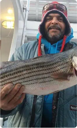 Striped Bass Trips