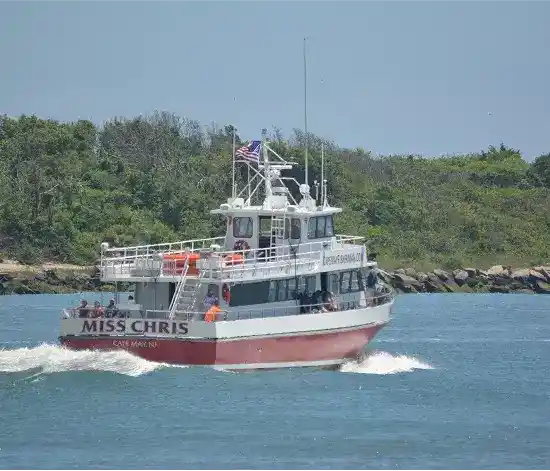 Cape May Fishing Charters